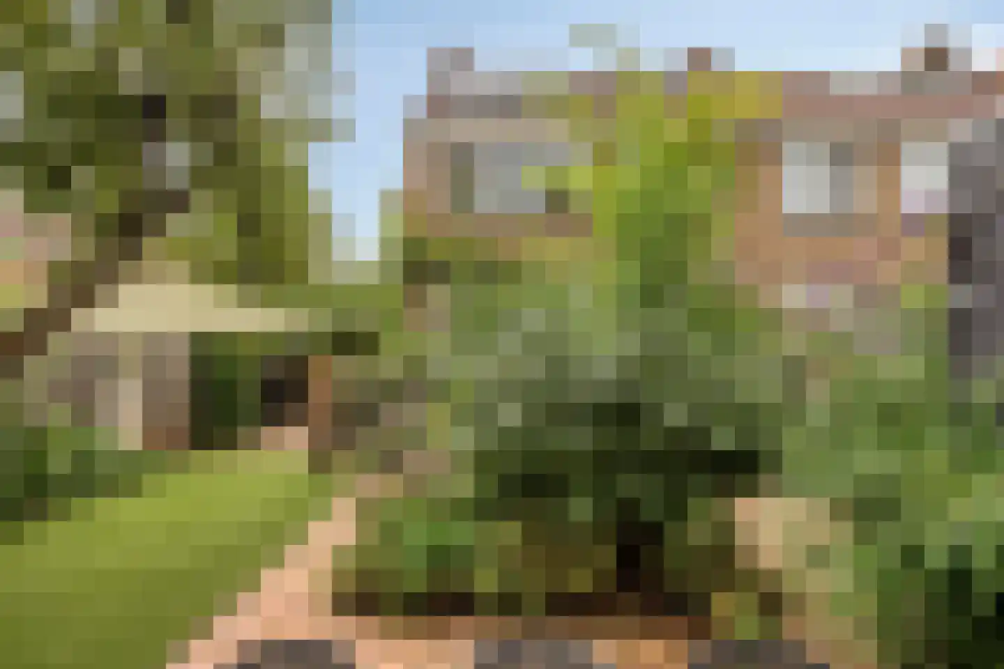 Tjalkstraat 19 Purmerend thumbnail 39
