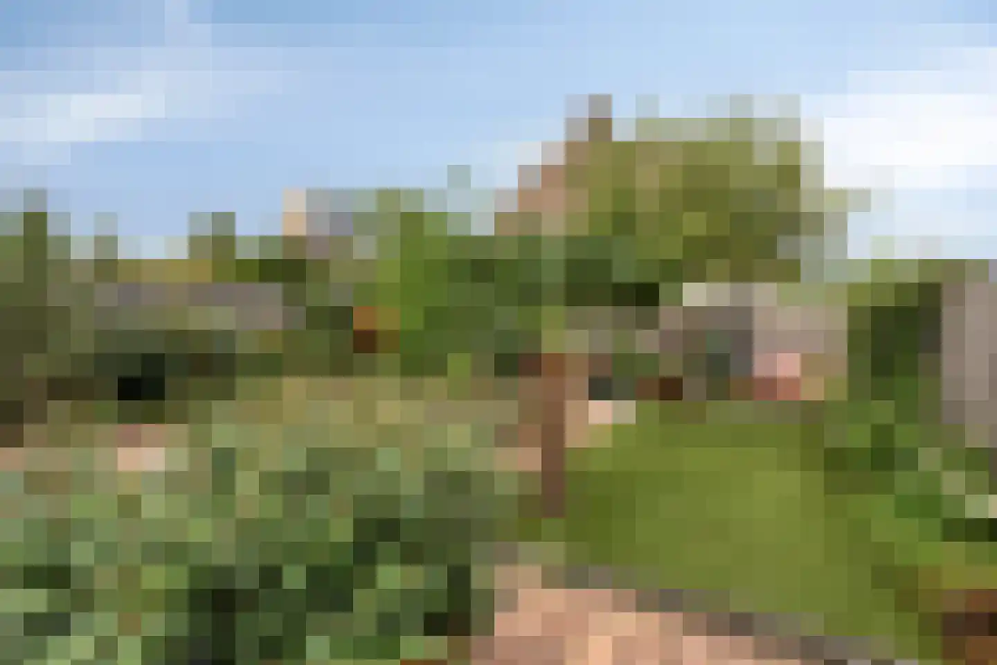 Tjalkstraat 19 Purmerend thumbnail 4