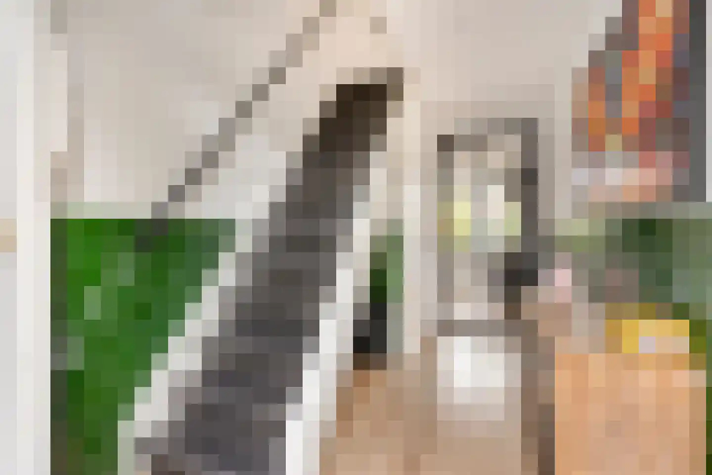 Tjalkstraat 19 Purmerend thumbnail 9
