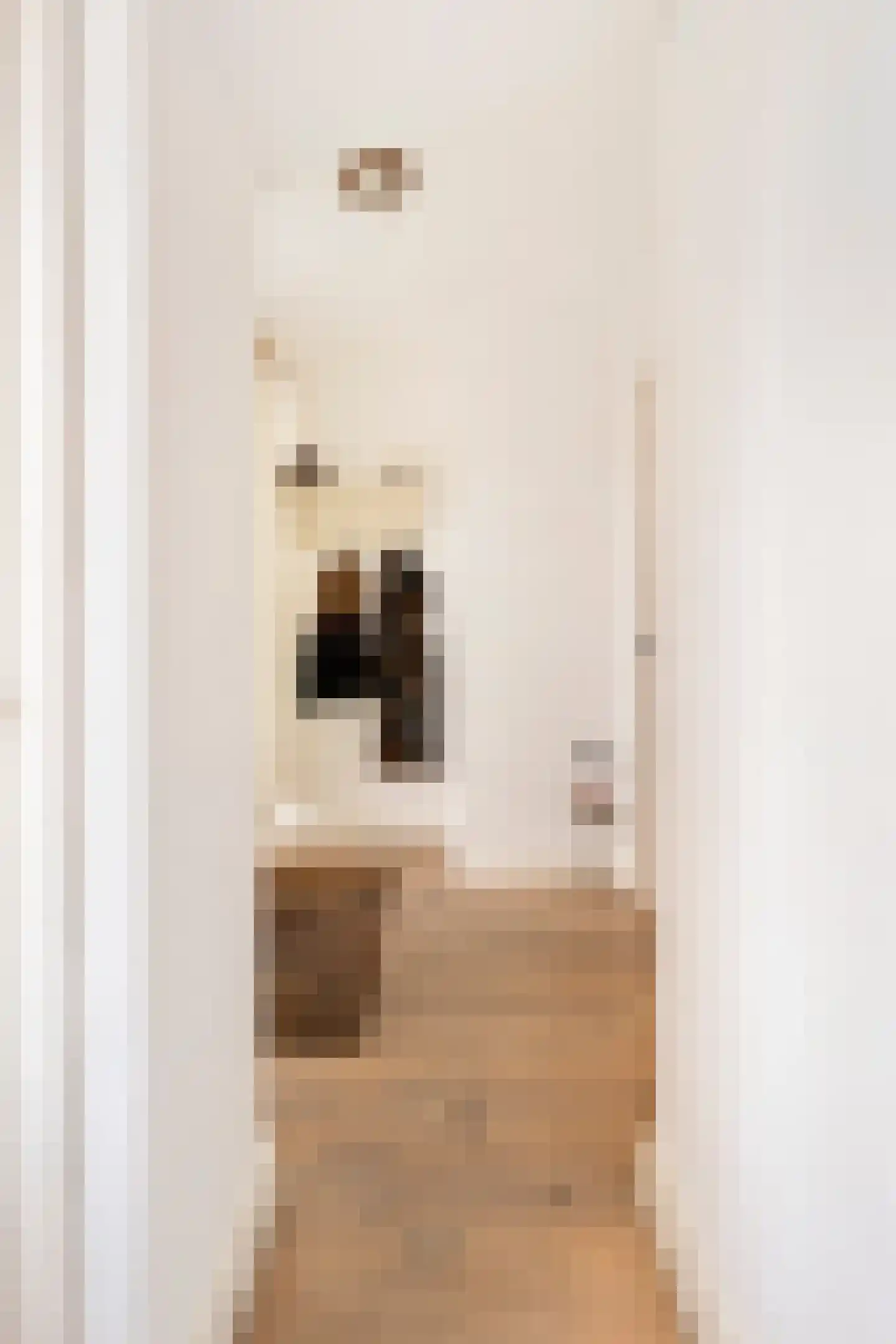 Tjalkstraat 2 A Eindhoven thumbnail 10