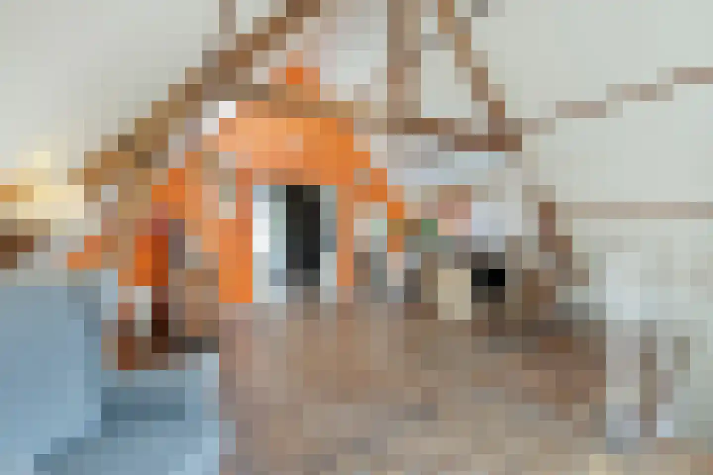 Tjalkstraat 2 A Eindhoven thumbnail 25