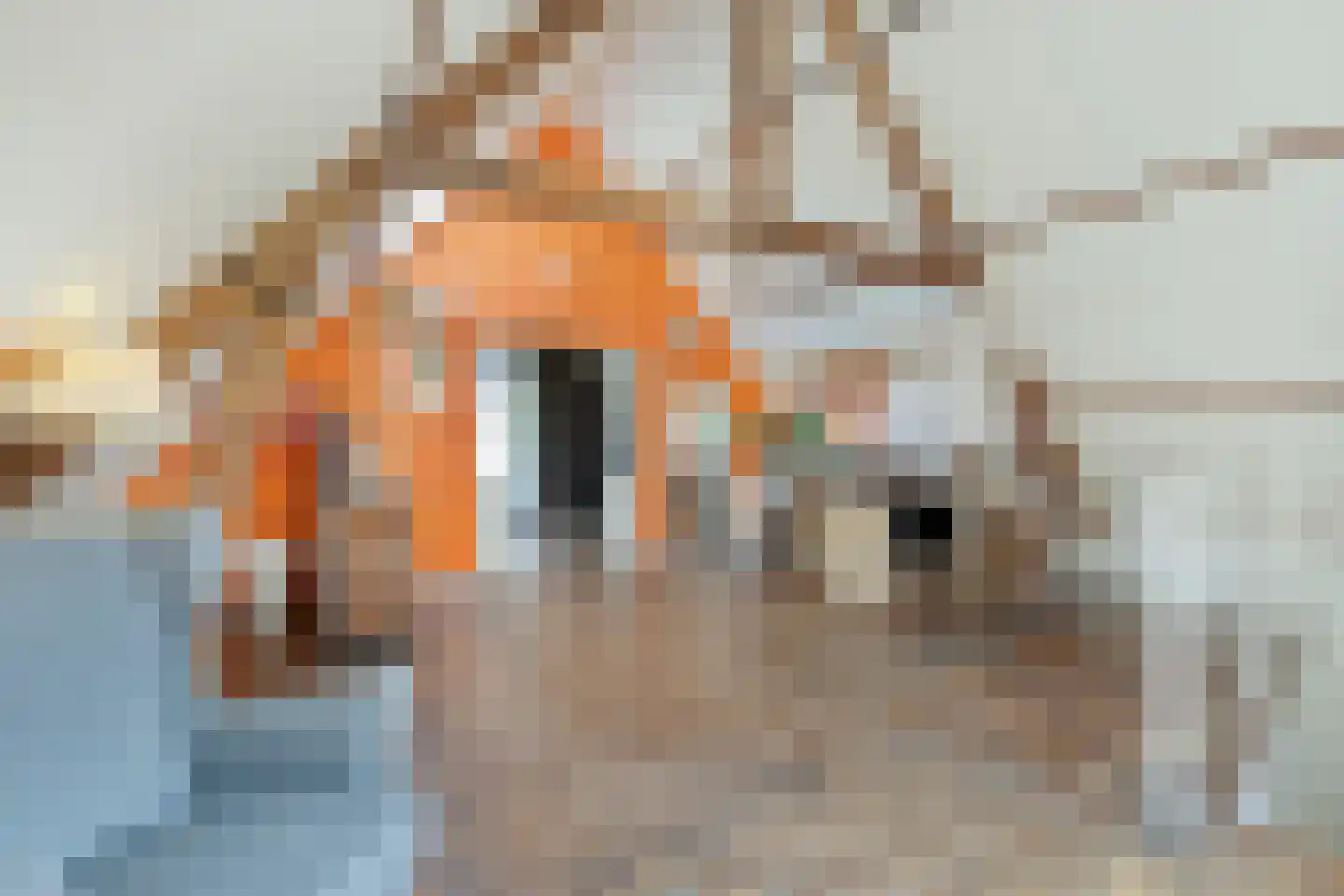 Tjalkstraat 2 A Eindhoven thumbnail 25