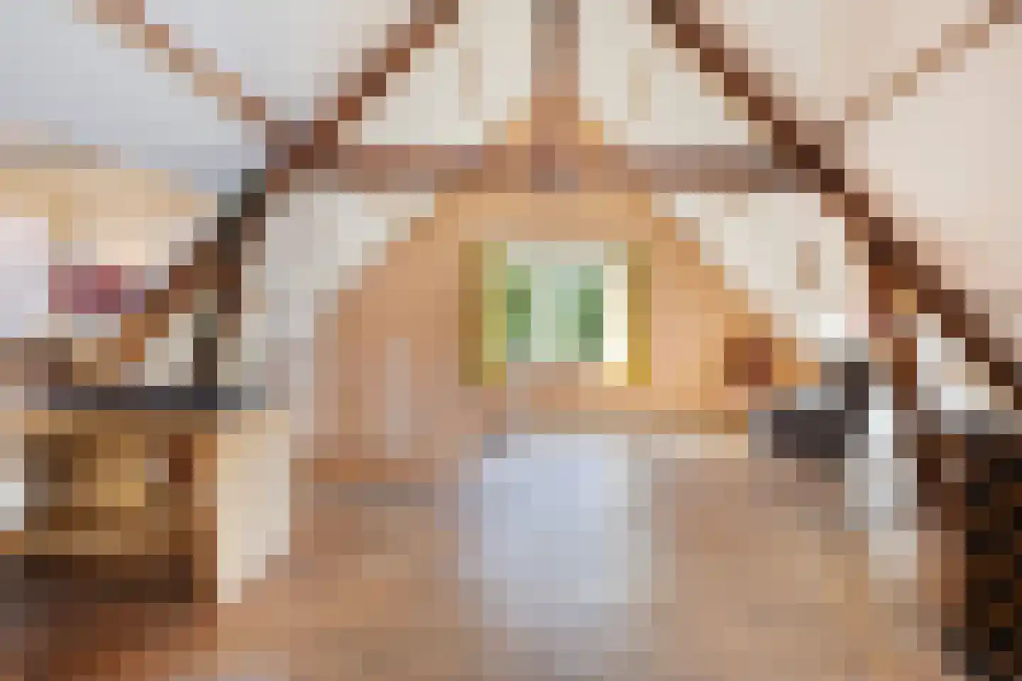 Tjalkstraat 2 A Eindhoven thumbnail 29