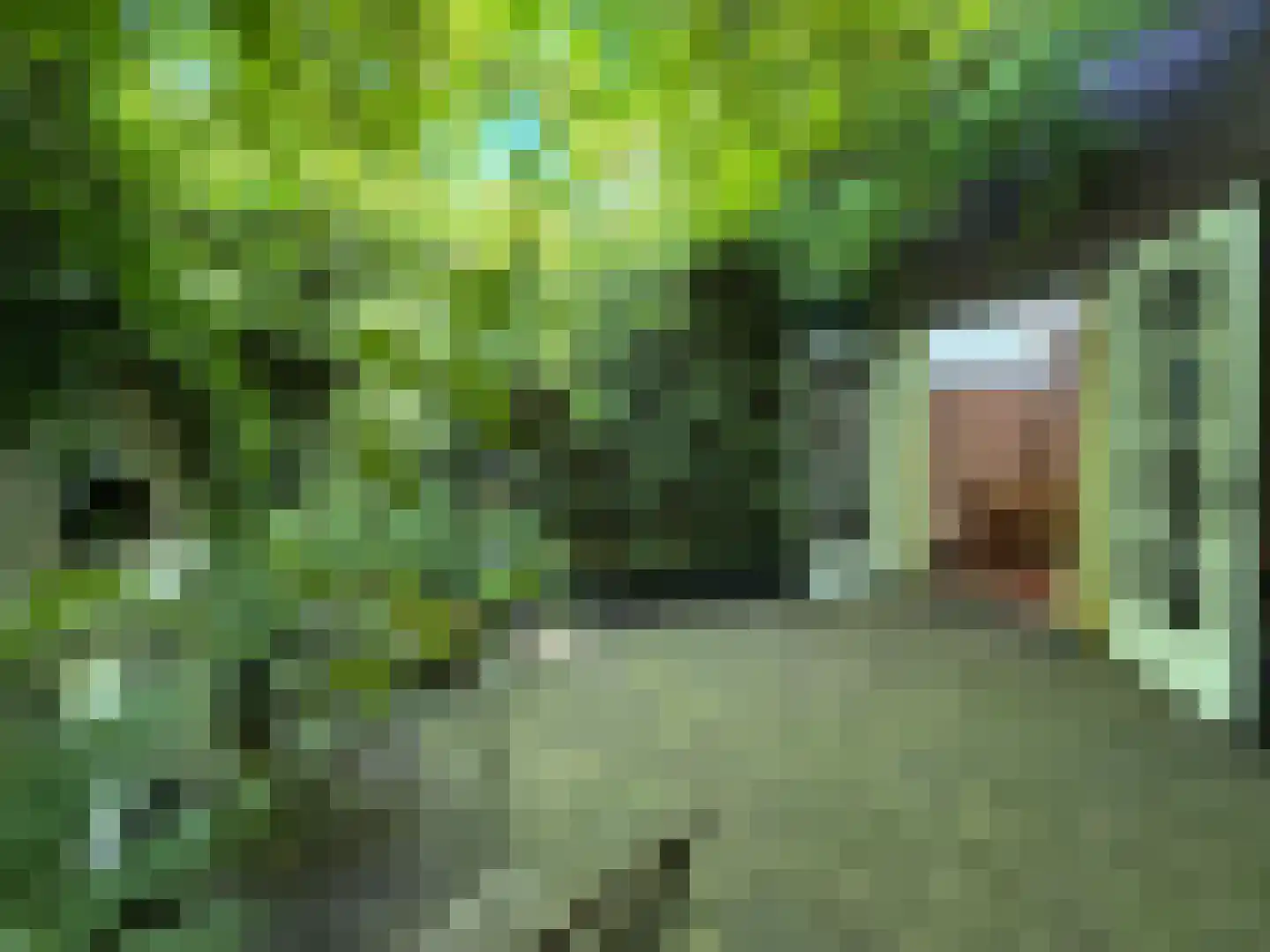 Tjalkstraat 2 A Eindhoven thumbnail 35