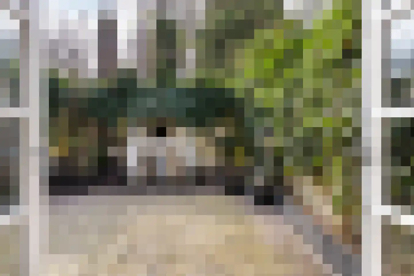 Tjalkstraat 2 A Eindhoven thumbnail 35