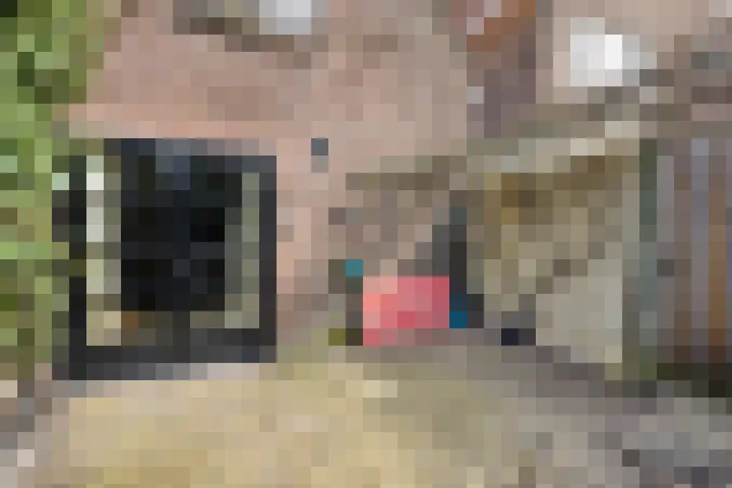 Tjalkstraat 2 A Eindhoven thumbnail 36