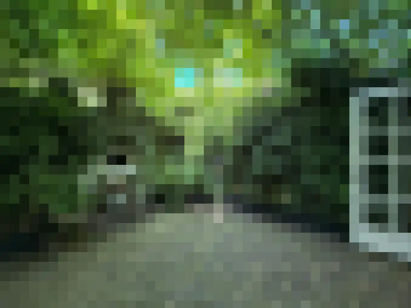 Tjalkstraat 2 A Eindhoven thumbnail 36