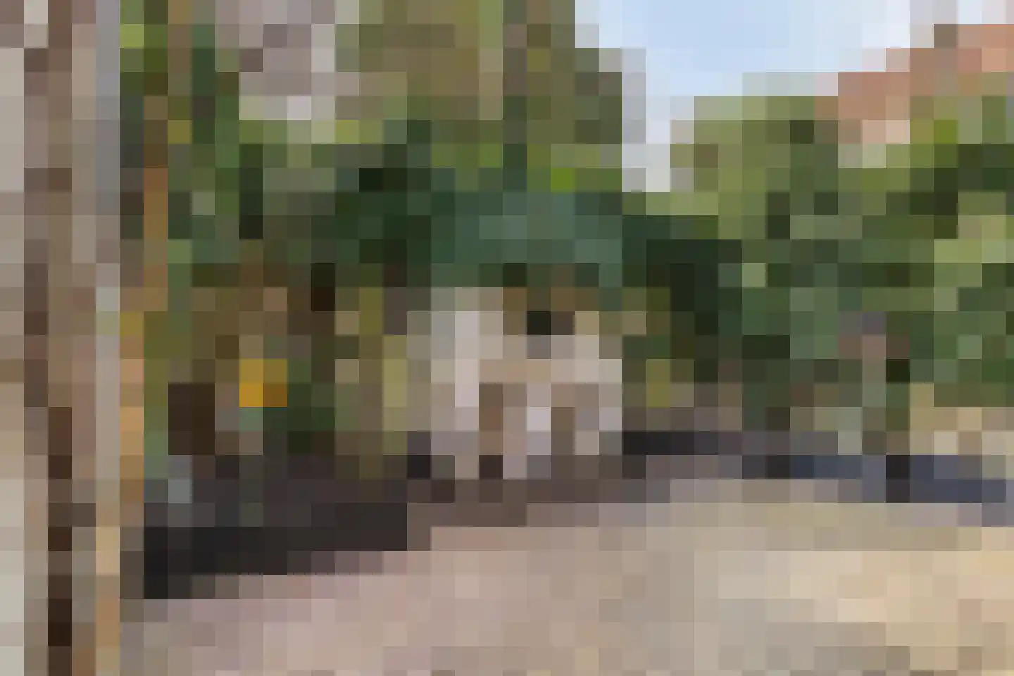 Tjalkstraat 2 A Eindhoven thumbnail 37