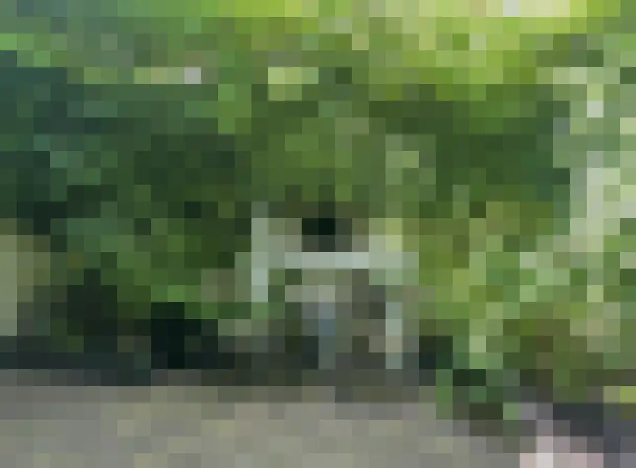 Tjalkstraat 2 A Eindhoven thumbnail 38