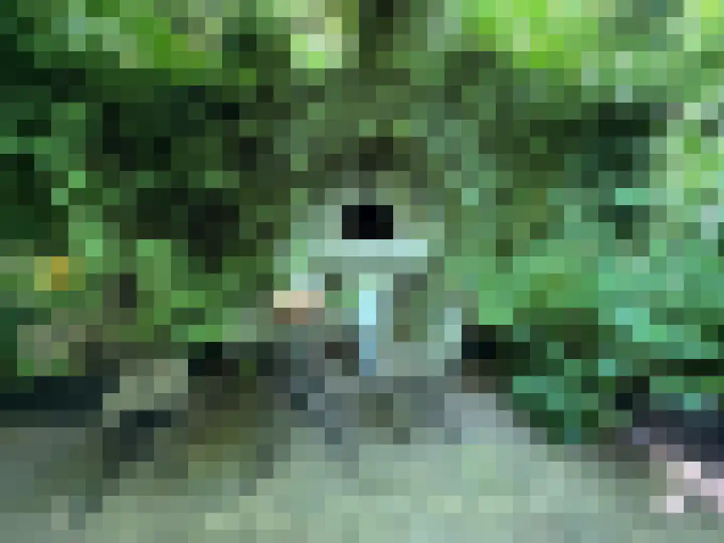 Tjalkstraat 2 A Eindhoven thumbnail 38
