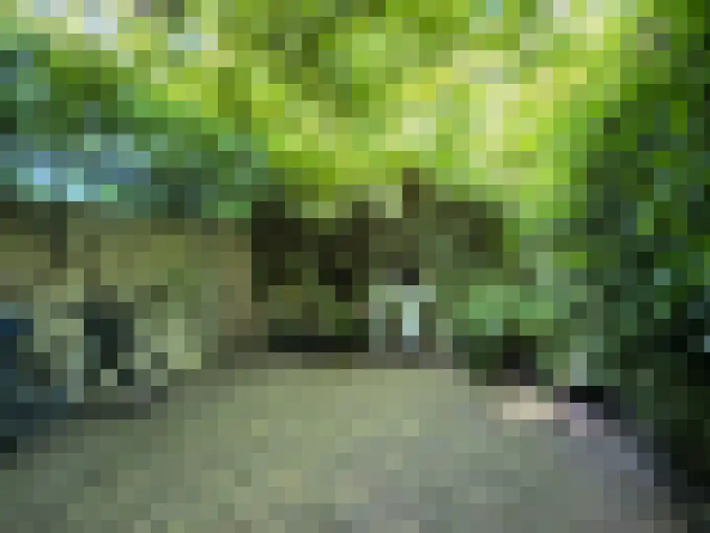 Tjalkstraat 2 A Eindhoven thumbnail 39