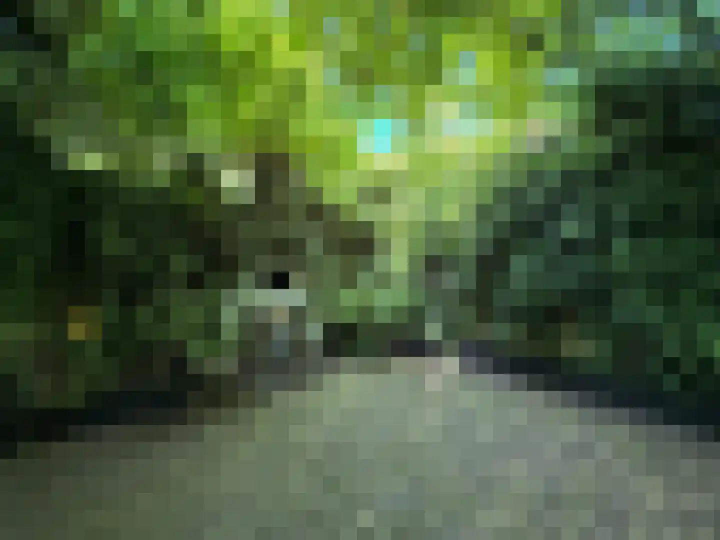 Tjalkstraat 2 A Eindhoven thumbnail 4
