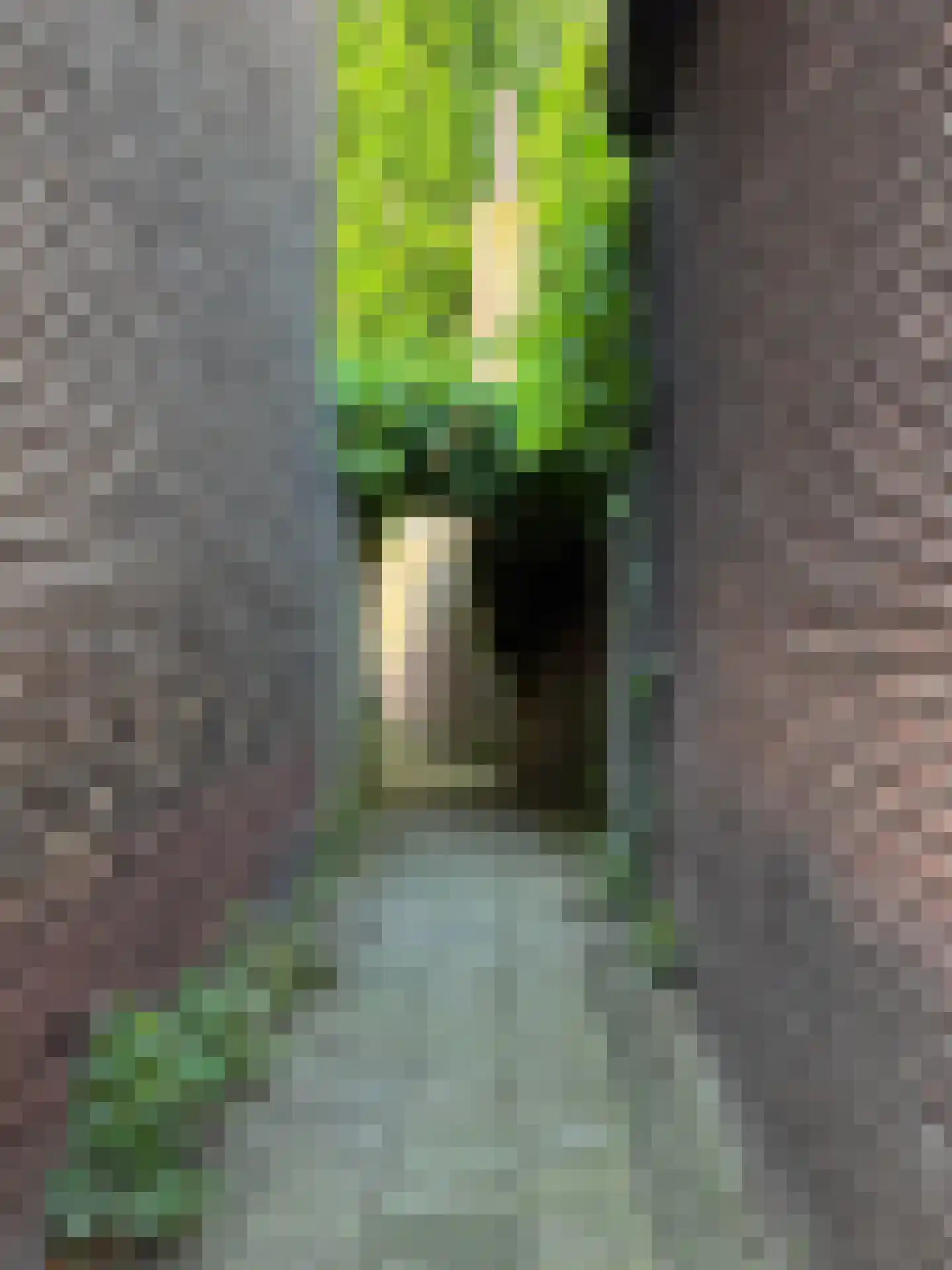 Tjalkstraat 2 A Eindhoven thumbnail 40