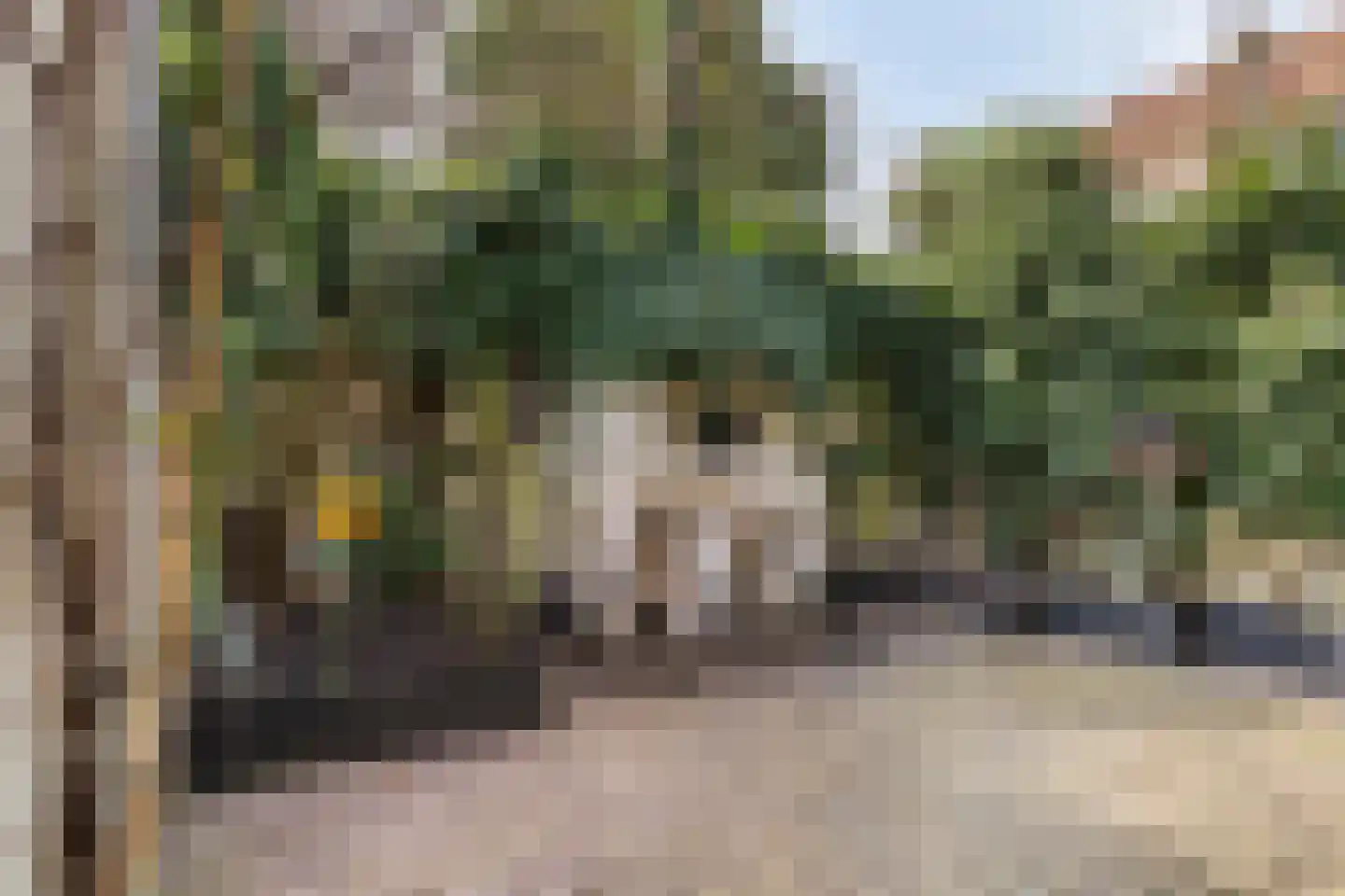 Tjalkstraat 2 A Eindhoven thumbnail 5