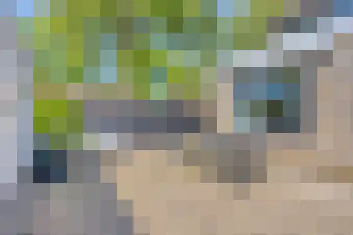 Tjalkstraat 2 Emmeloord thumbnail 34