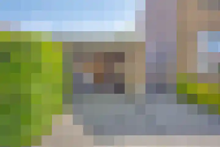 Tjalkstraat 2 Emmeloord thumbnail 38