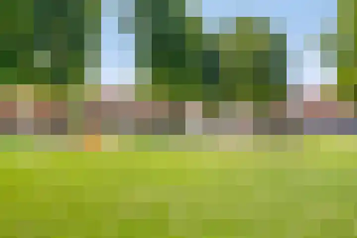 Tjalkstraat 2 Emmeloord thumbnail 41