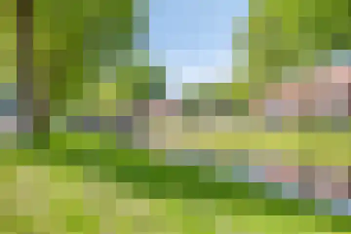 Tjalkstraat 2 Emmeloord thumbnail 42