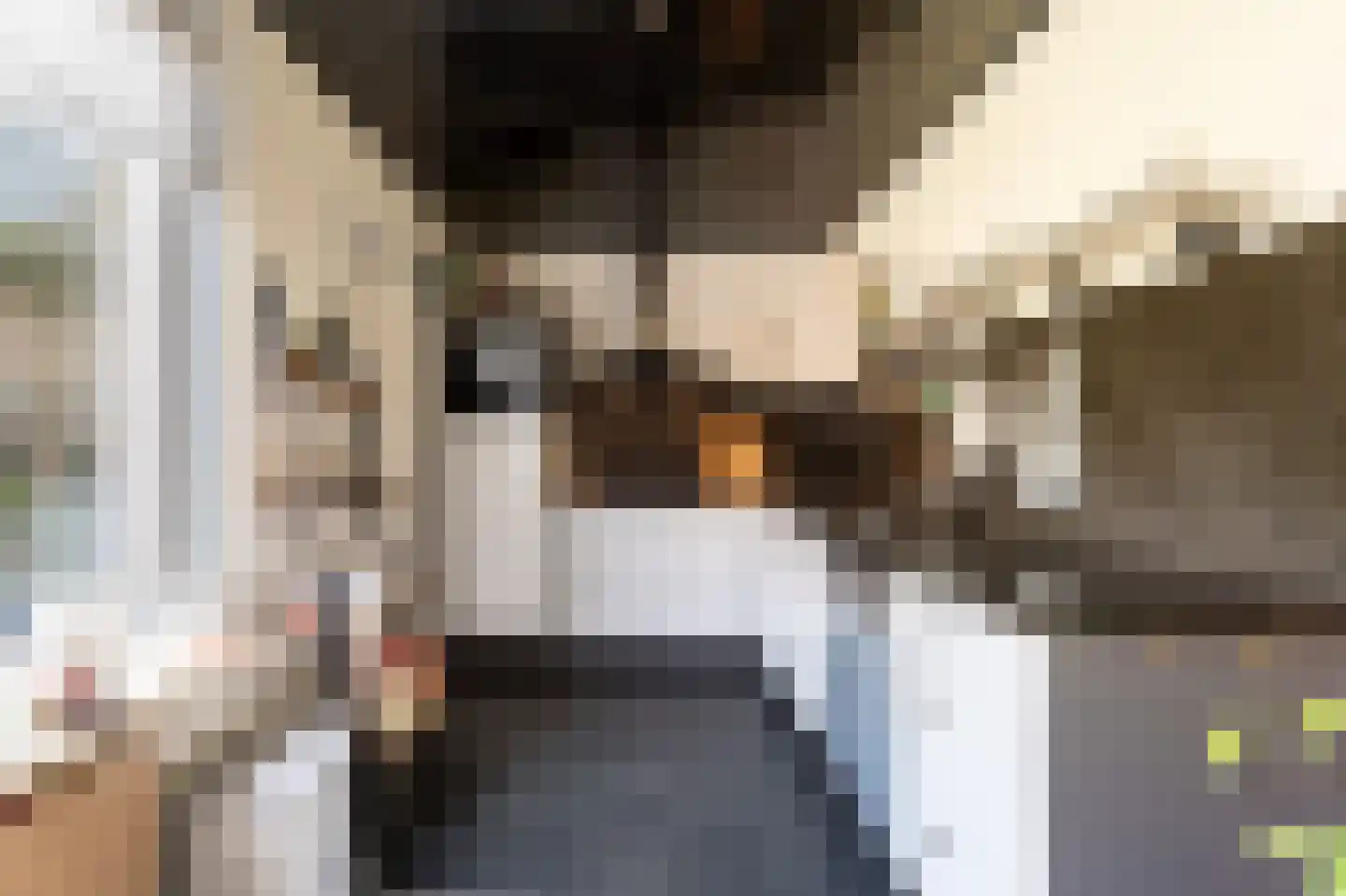 Tjalkstraat 2 Lemelerveld thumbnail 12