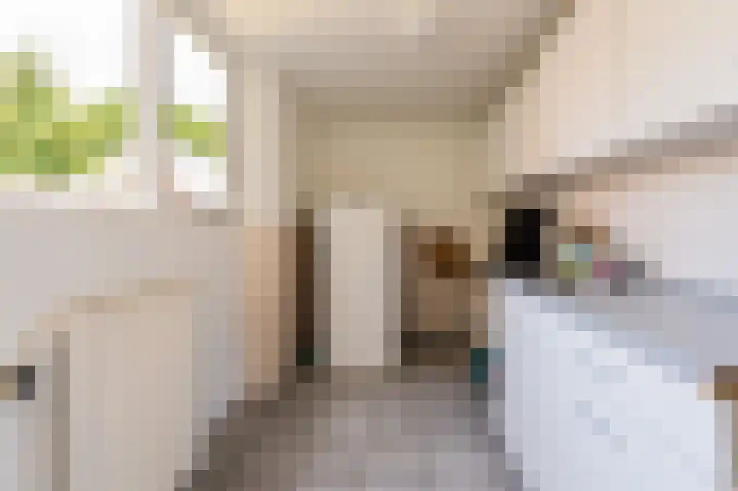 Tjalkstraat 2 Lemelerveld thumbnail 14
