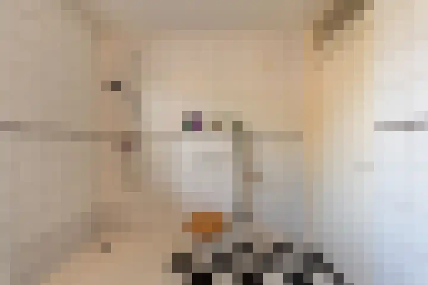 Tjalkstraat 2 Lemelerveld thumbnail 22