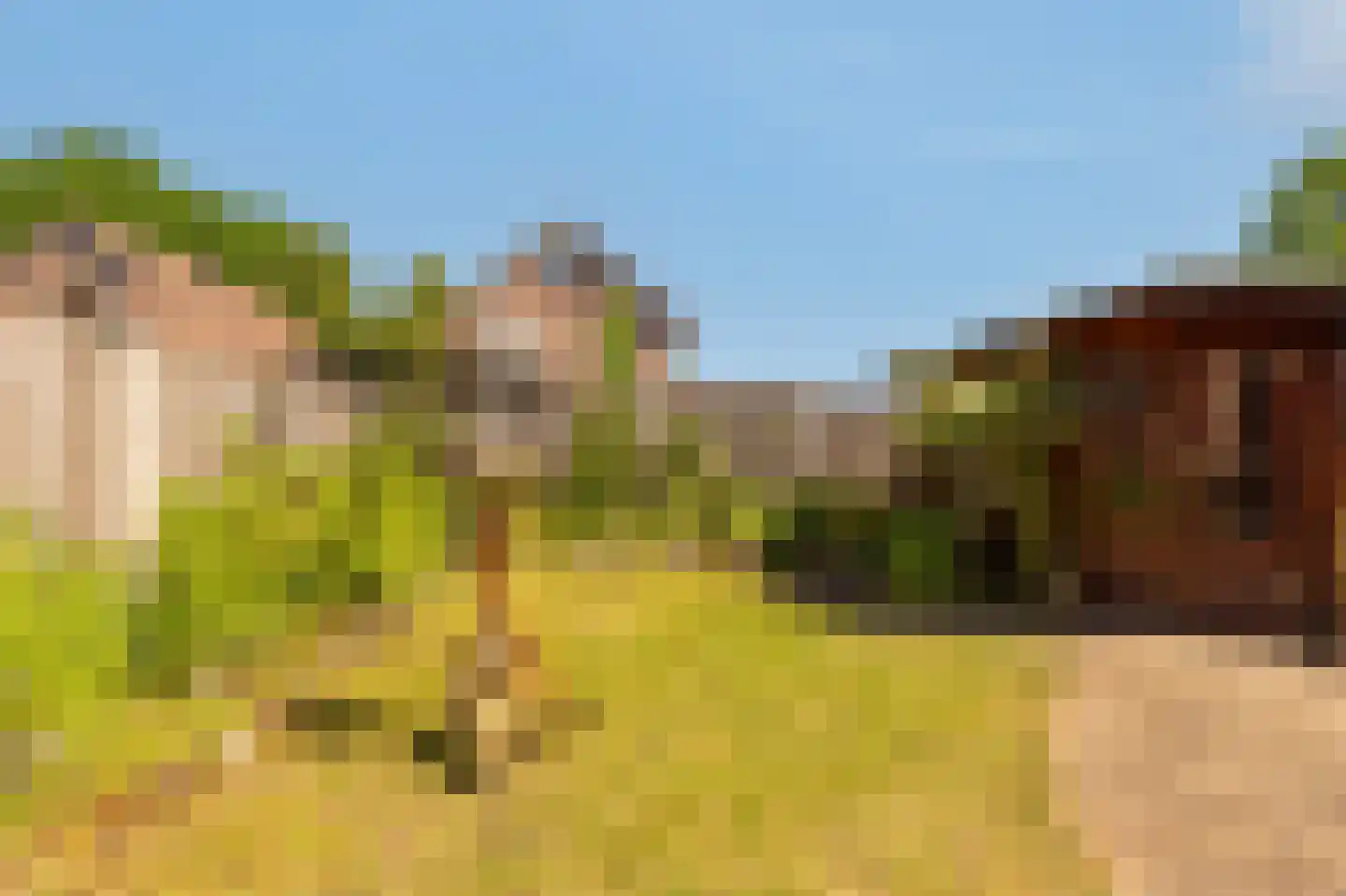 Tjalkstraat 2 Lemelerveld thumbnail 38