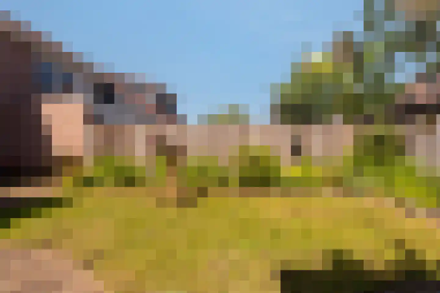 Tjalkstraat 2 Lemelerveld thumbnail 39