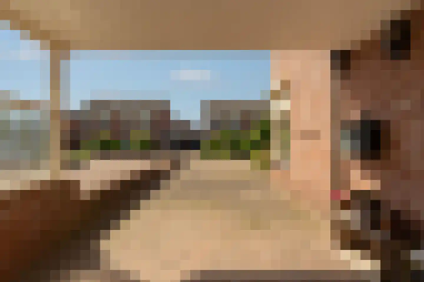 Tjalkstraat 2 Lemelerveld thumbnail 4