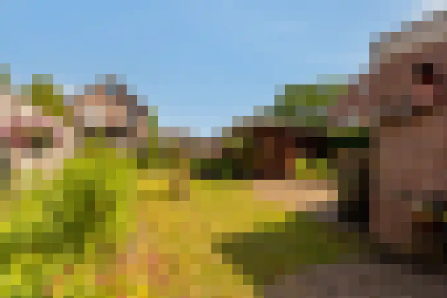 Tjalkstraat 2 Lemelerveld thumbnail 40