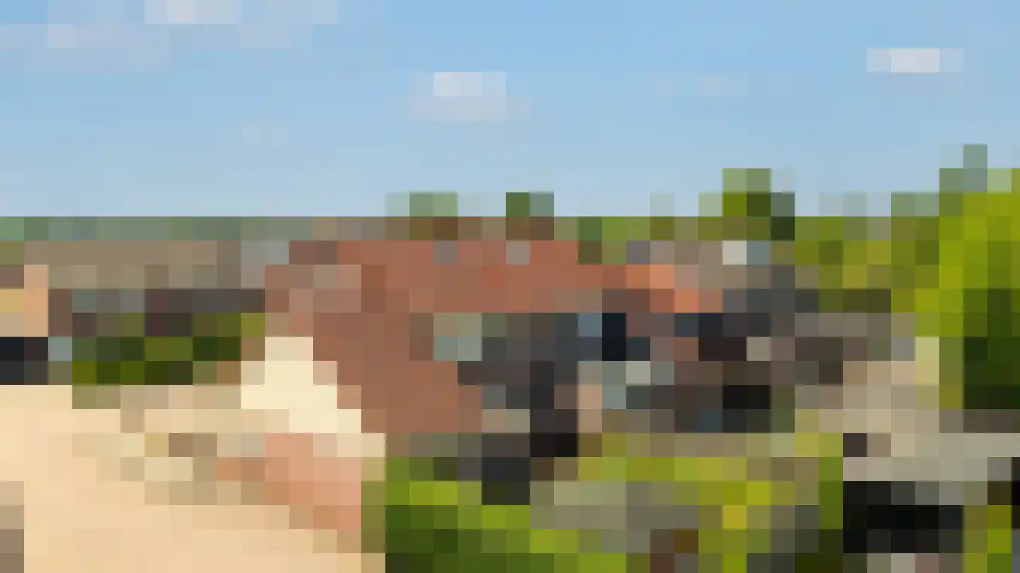 Tjalkstraat 2 Lemelerveld thumbnail 41