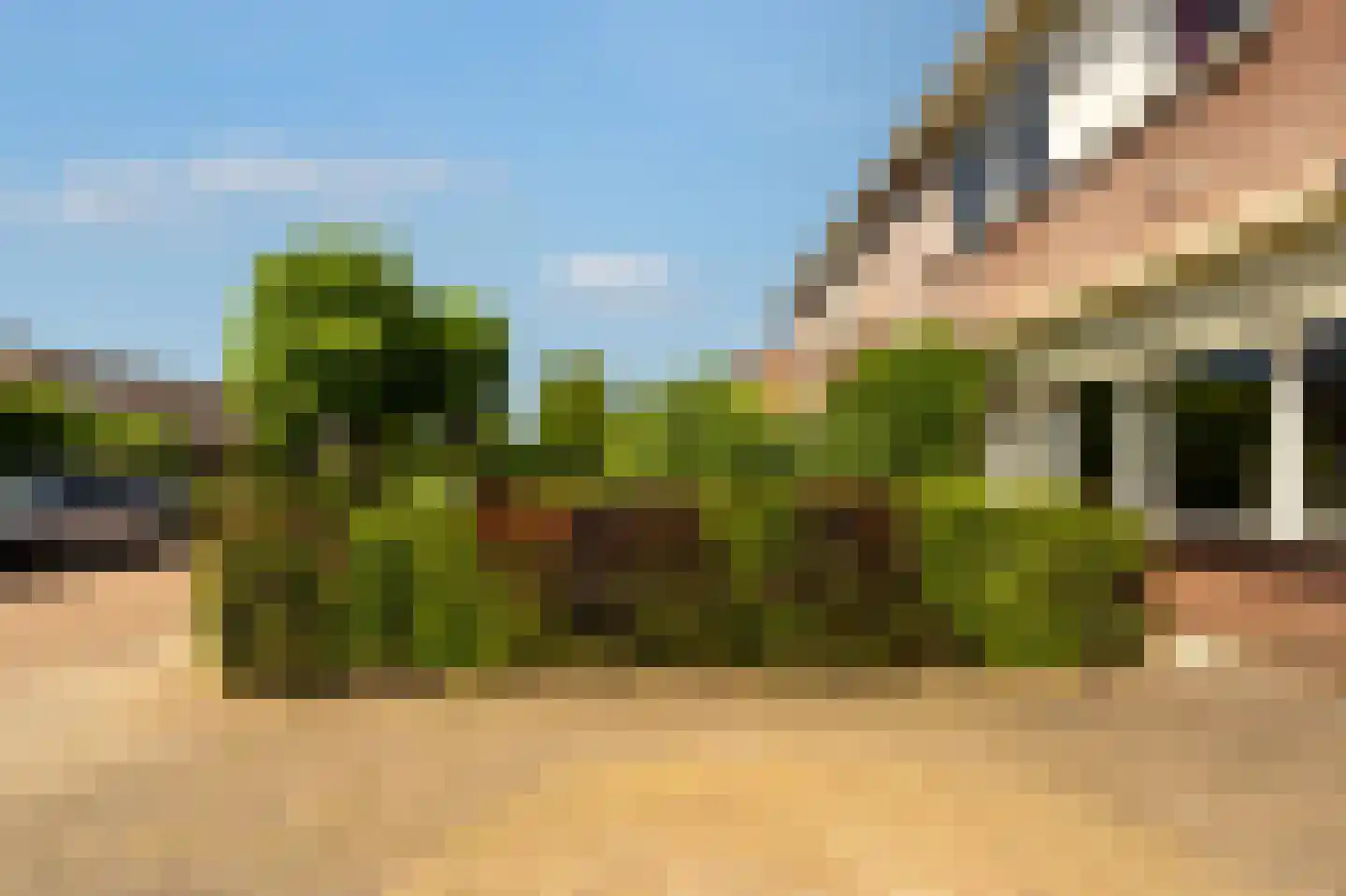 Tjalkstraat 2 Lemelerveld thumbnail 42