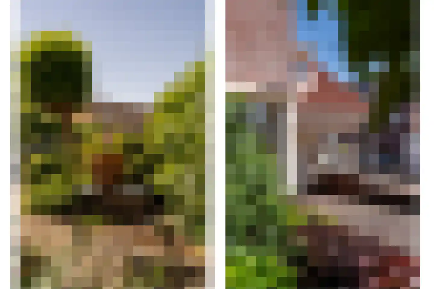 Tjalkstraat 2 Lemelerveld thumbnail 43