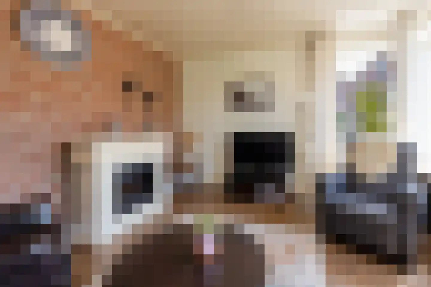 Tjalkstraat 2 Lemelerveld thumbnail 6