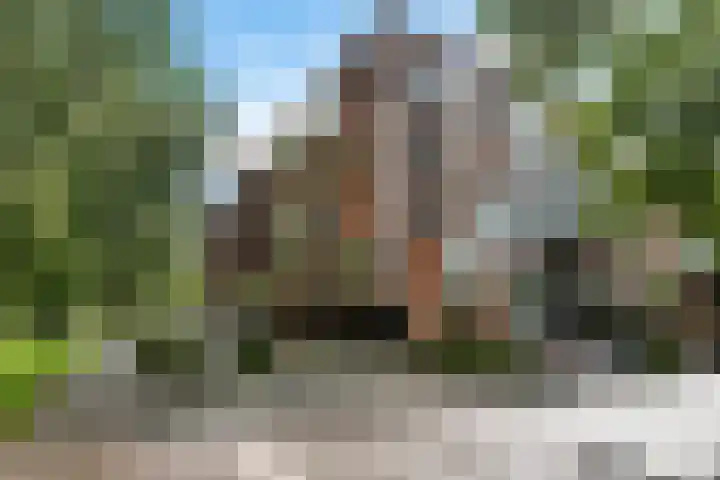Tjalkstraat 20 Zaandam thumbnail 4