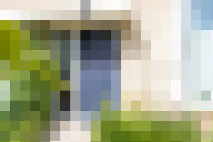 Tjalkstraat 23 Zaltbommel thumbnail 6