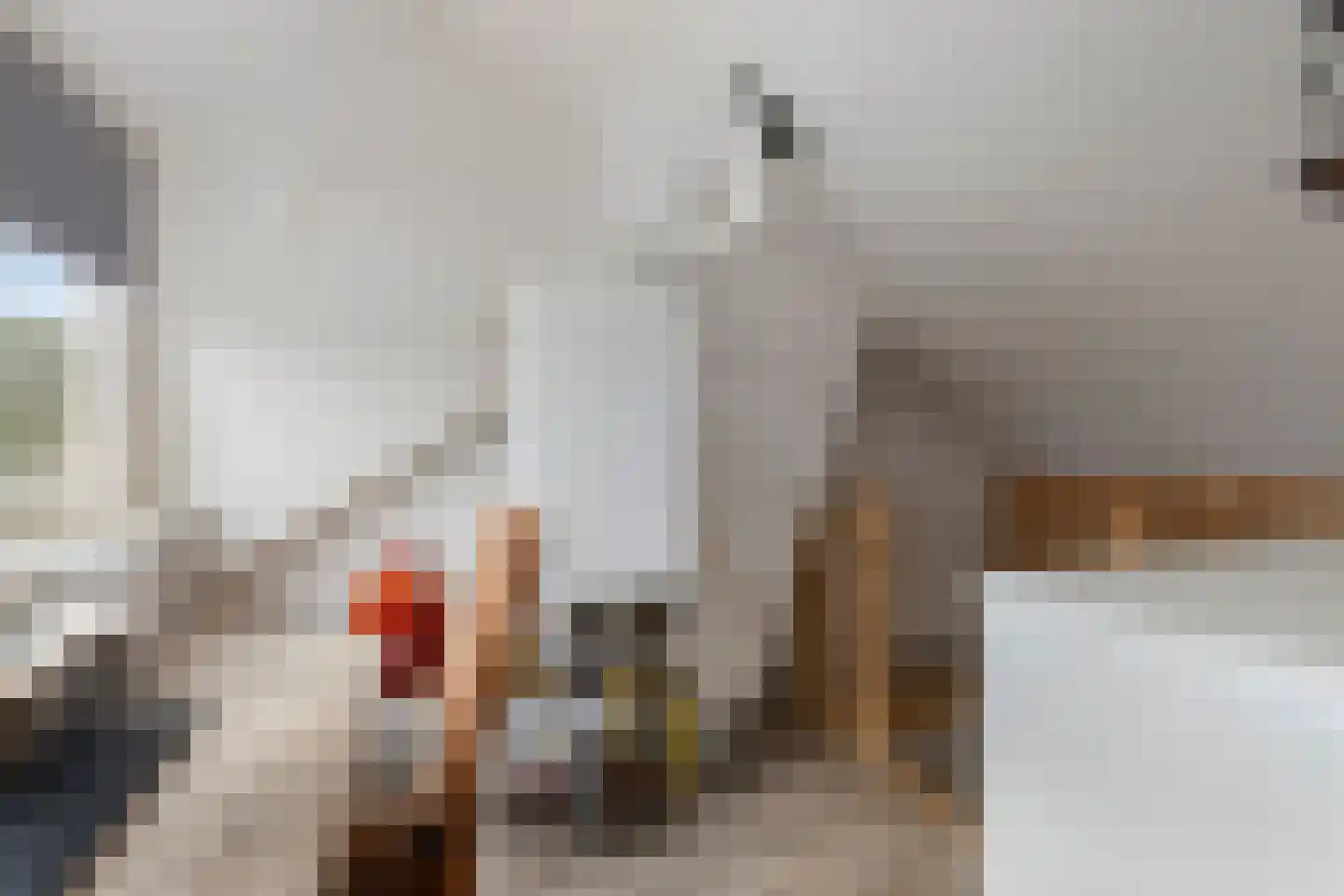 Tjalkstraat 3 Nieuw-Lekkerland thumbnail 23