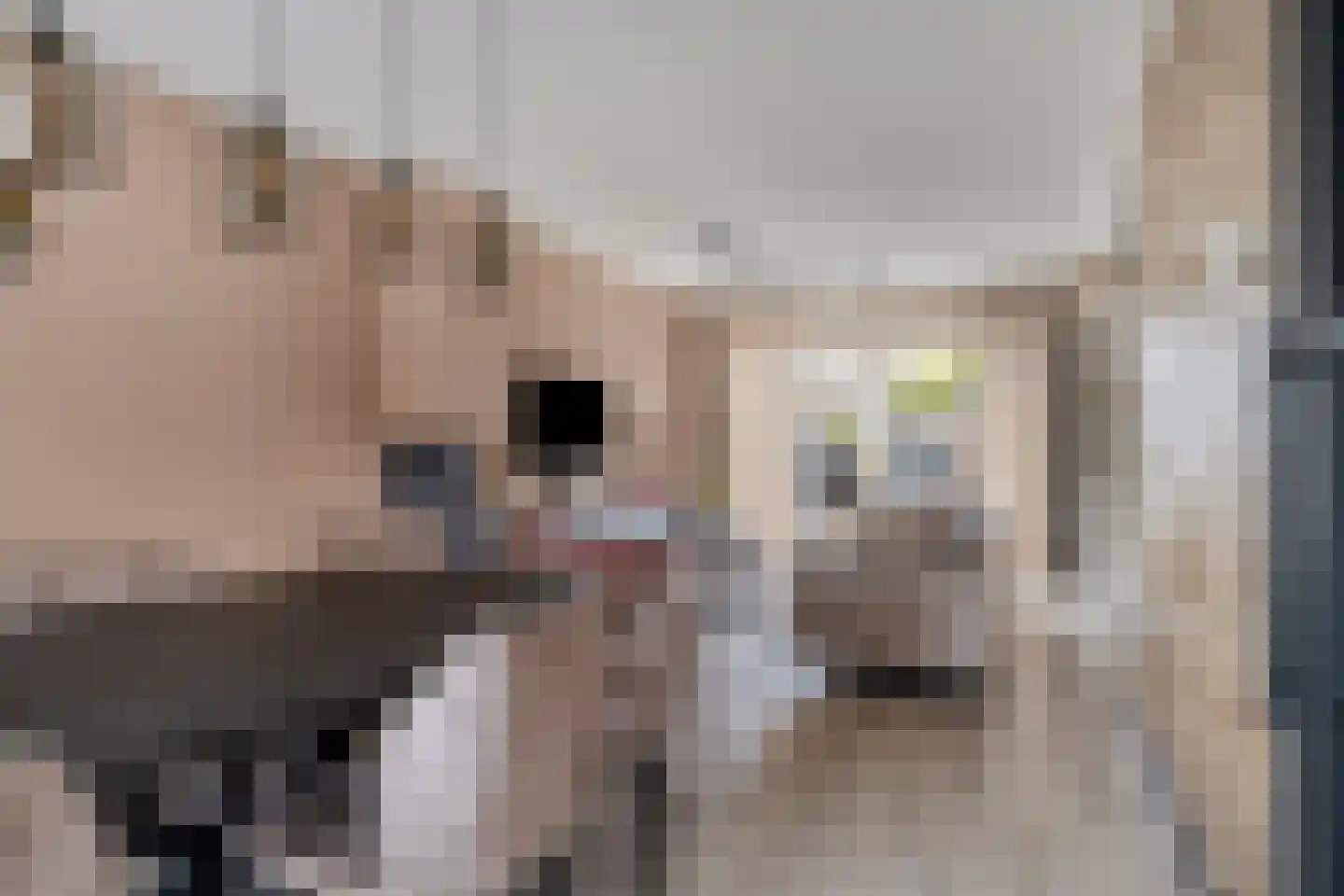 Tjalkstraat 3 Nieuw-Lekkerland thumbnail 7