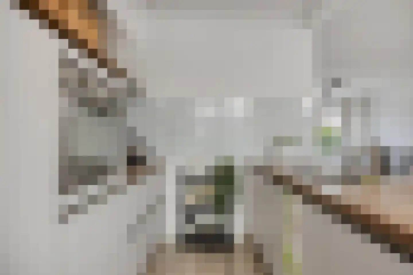 Tjalkstraat 32 Purmerend thumbnail 11