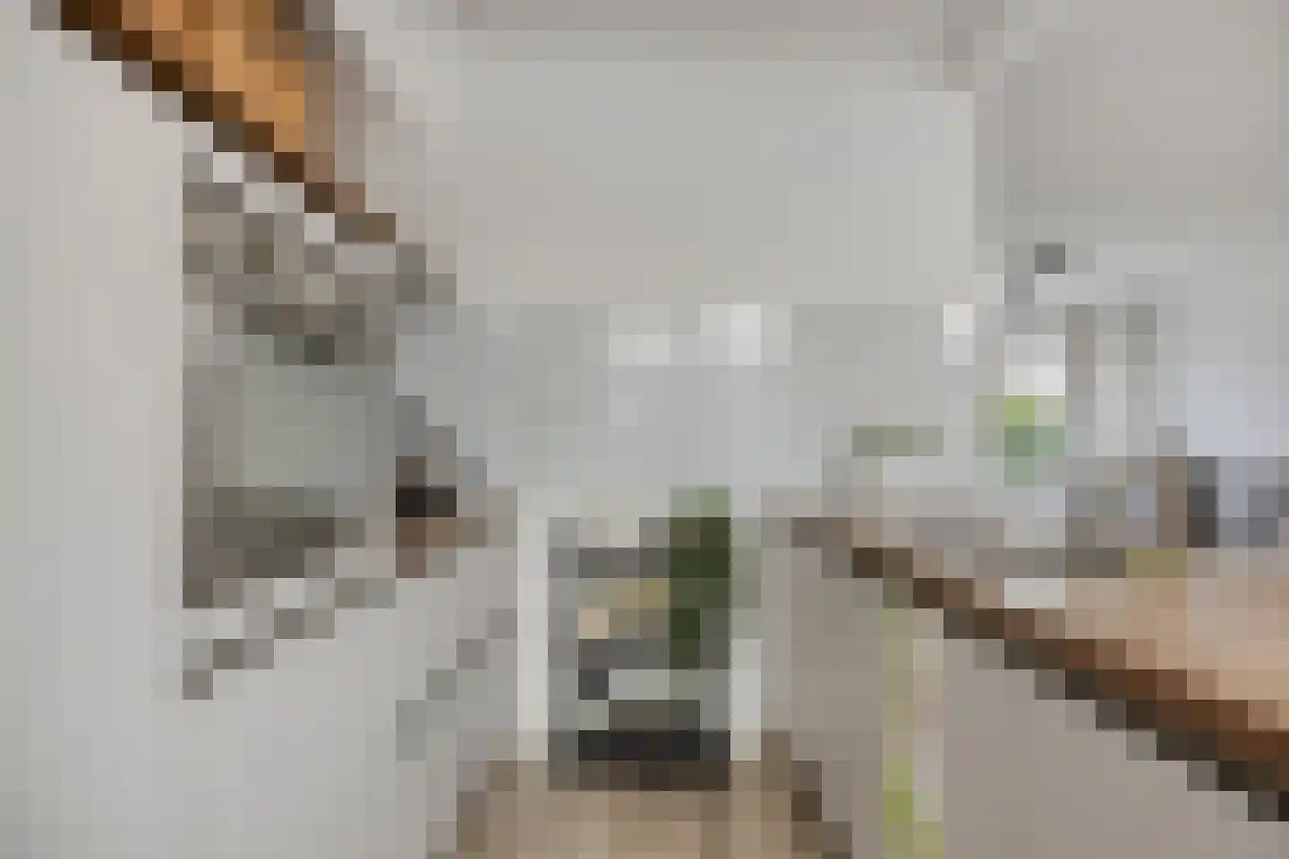 Tjalkstraat 32 Purmerend thumbnail 11