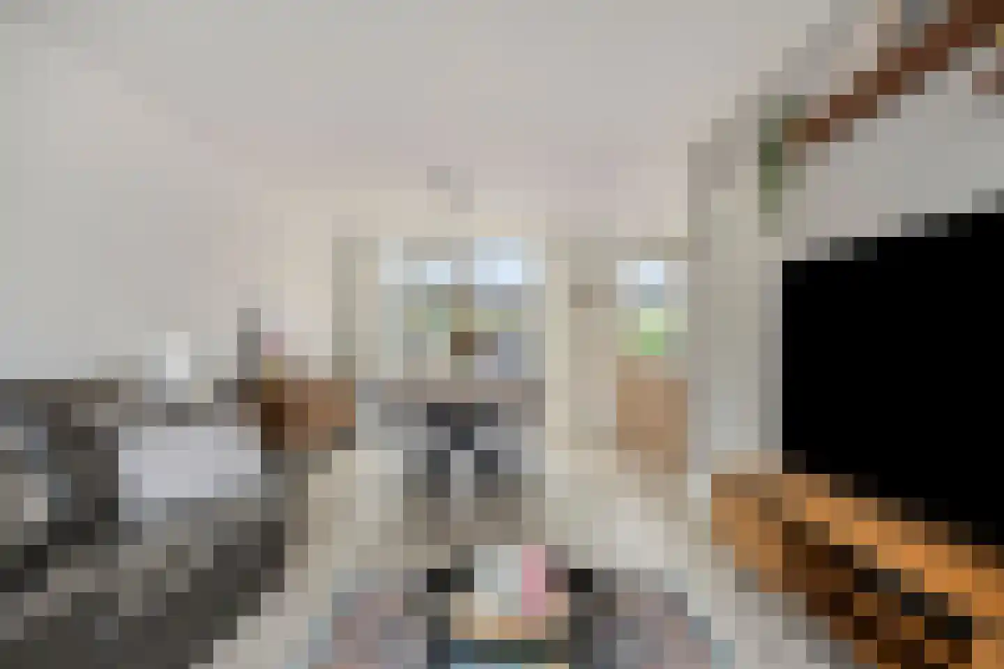 Tjalkstraat 32 Purmerend thumbnail 9