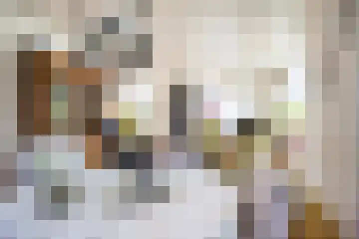 Tjalkstraat 4 Groningen thumbnail 13