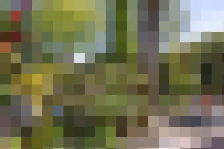 Tjalkstraat 4 Groningen thumbnail 31