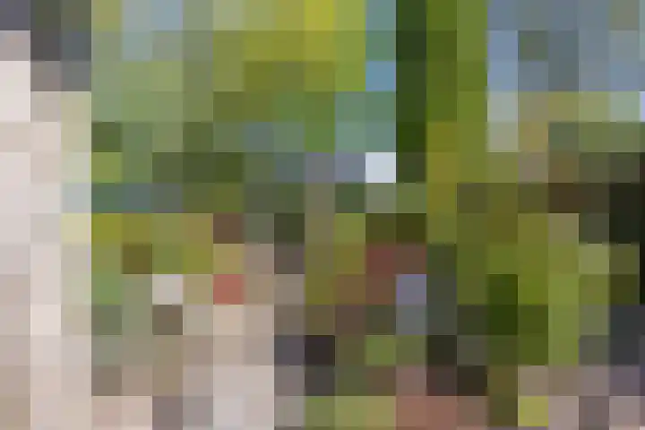 Tjalkstraat 4 Groningen thumbnail 32