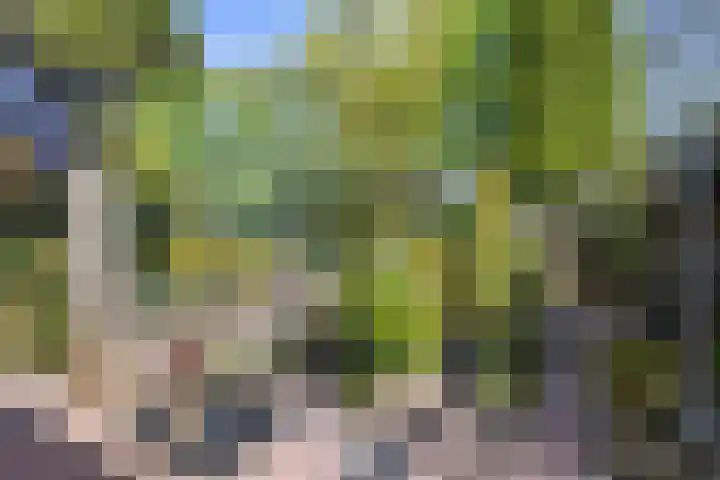 Tjalkstraat 4 Groningen thumbnail 33