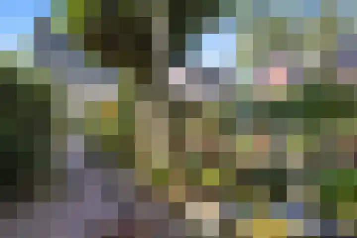 Tjalkstraat 4 Groningen thumbnail 34