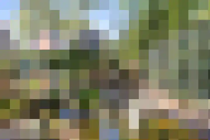 Tjalkstraat 4 Groningen thumbnail 35
