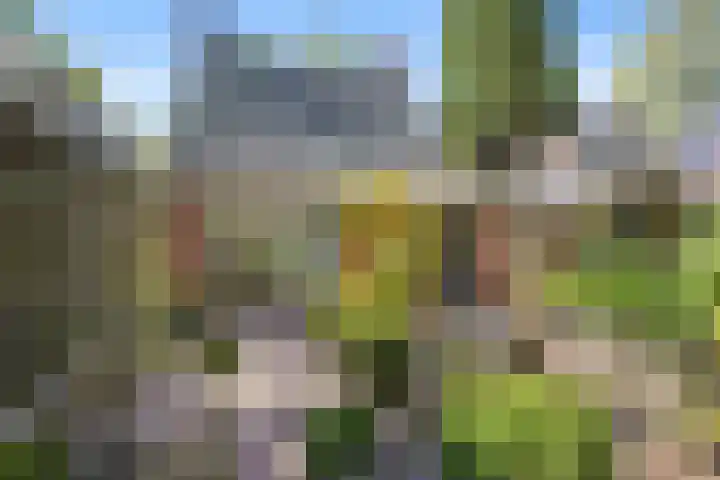 Tjalkstraat 4 Groningen thumbnail 36
