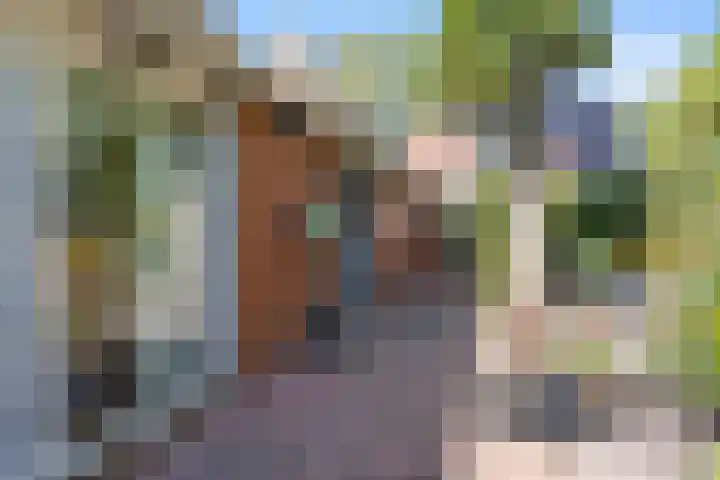 Tjalkstraat 4 Groningen thumbnail 37