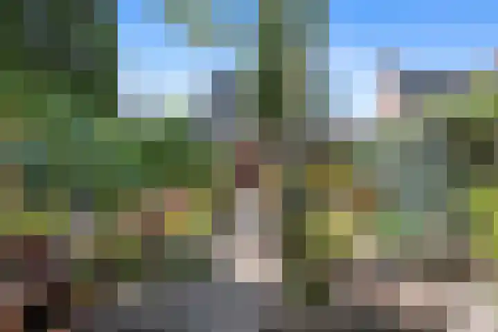 Tjalkstraat 4 Groningen thumbnail 38