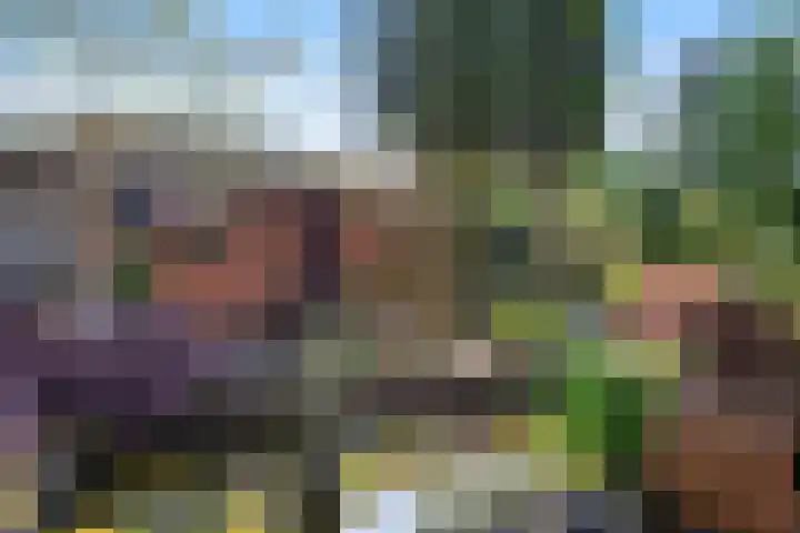 Tjalkstraat 4 Groningen thumbnail 39